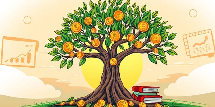 A Magia dos Dividendos: Construa uma Renda Passiva Sólida